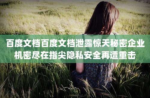 百度文档百度文档泄露惊天秘密企业机密尽在指尖隐私安全再遭重击
