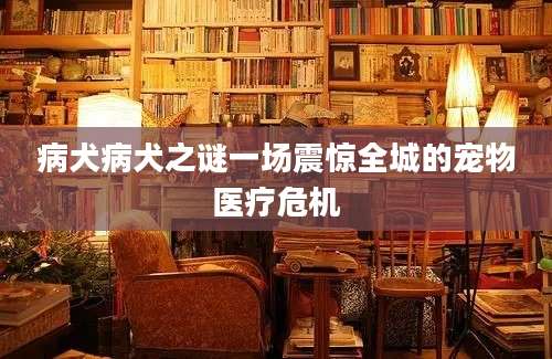 病犬病犬之谜一场震惊全城的宠物医疗危机