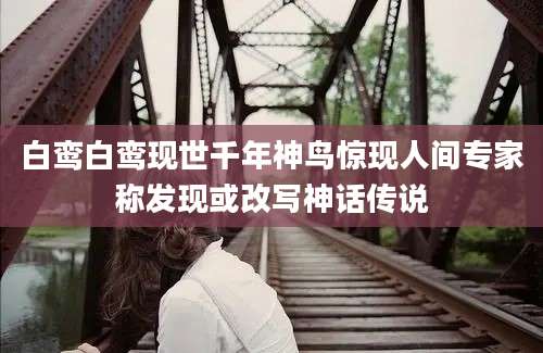 白鸾白鸾现世千年神鸟惊现人间专家称发现或改写神话传说