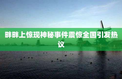 畔畔上惊现神秘事件震惊全国引发热议