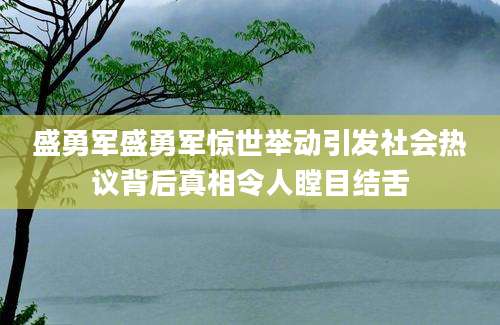 盛勇军盛勇军惊世举动引发社会热议背后真相令人瞠目结舌
