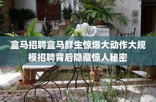 盒马招聘盒马鲜生惊爆大动作大规模招聘背后隐藏惊人秘密