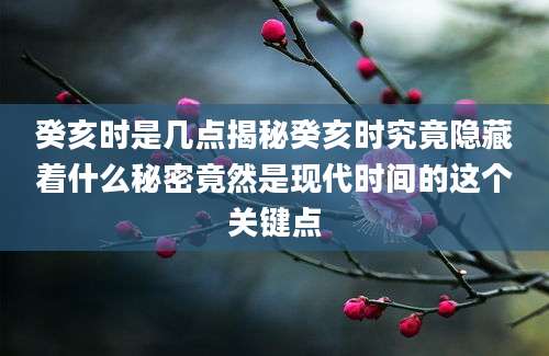 癸亥时是几点揭秘癸亥时究竟隐藏着什么秘密竟然是现代时间的这个关键点