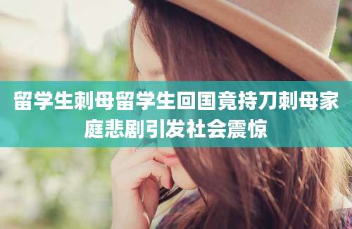 留学生刺母留学生回国竟持刀刺母家庭悲剧引发社会震惊