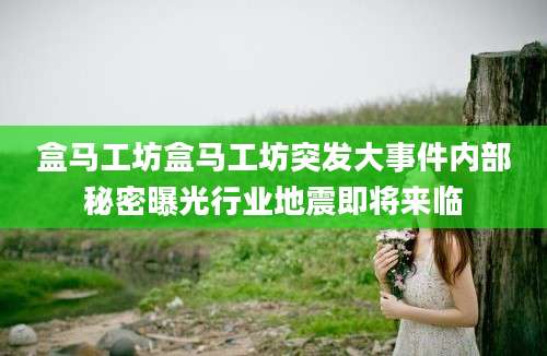 盒马工坊盒马工坊突发大事件内部秘密曝光行业地震即将来临
