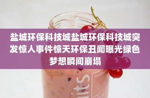 盐城环保科技城盐城环保科技城突发惊人事件惊天环保丑闻曝光绿色梦想瞬间崩塌