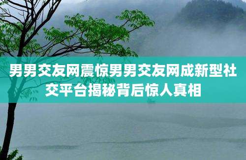 男男交友网震惊男男交友网成新型社交平台揭秘背后惊人真相