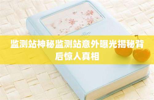监测站神秘监测站意外曝光揭秘背后惊人真相