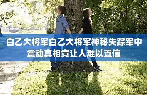 白乙大将军白乙大将军神秘失踪军中震动真相竟让人难以置信
