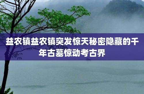 益农镇益农镇突发惊天秘密隐藏的千年古墓惊动考古界