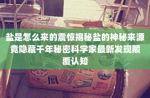 盐是怎么来的震惊揭秘盐的神秘来源竟隐藏千年秘密科学家最新发现颠覆认知