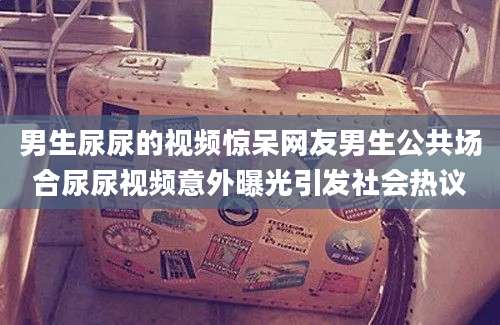 男生尿尿的视频惊呆网友男生公共场合尿尿视频意外曝光引发社会热议