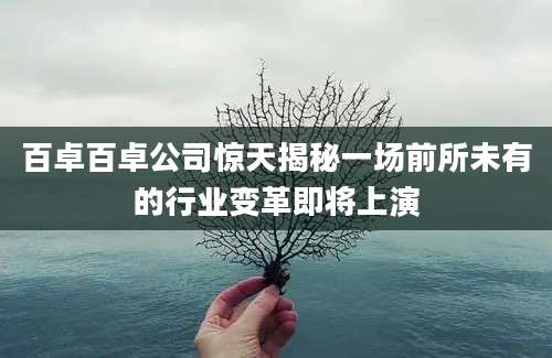 百卓百卓公司惊天揭秘一场前所未有的行业变革即将上演