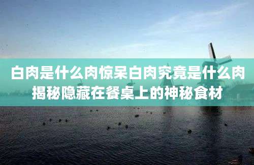 白肉是什么肉惊呆白肉究竟是什么肉揭秘隐藏在餐桌上的神秘食材