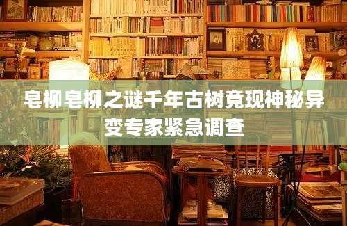 皂柳皂柳之谜千年古树竟现神秘异变专家紧急调查