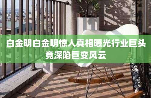 白金明白金明惊人真相曝光行业巨头竟深陷巨变风云
