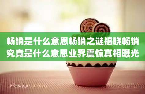 畅销是什么意思畅销之谜揭晓畅销究竟是什么意思业界震惊真相曝光