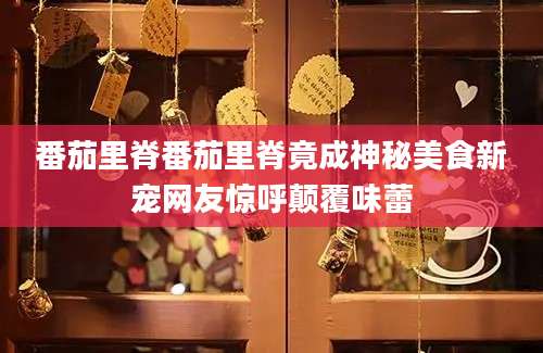 番茄里脊番茄里脊竟成神秘美食新宠网友惊呼颠覆味蕾
