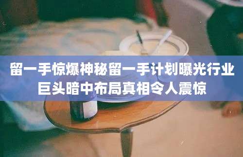 留一手惊爆神秘留一手计划曝光行业巨头暗中布局真相令人震惊