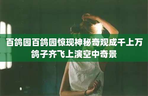 百鸽园百鸽园惊现神秘奇观成千上万鸽子齐飞上演空中奇景