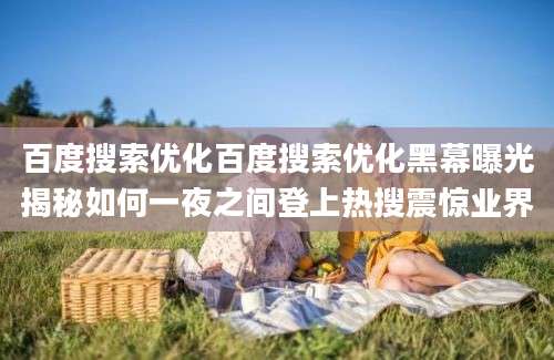 百度搜索优化百度搜索优化黑幕曝光揭秘如何一夜之间登上热搜震惊业界