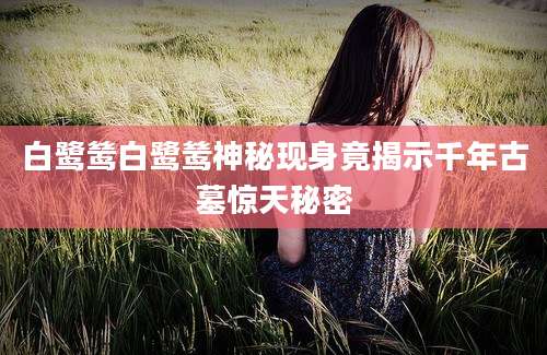白鹭鸶白鹭鸶神秘现身竟揭示千年古墓惊天秘密
