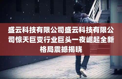 盛云科技有限公司盛云科技有限公司惊天巨变行业巨头一夜崛起全新格局震撼揭晓