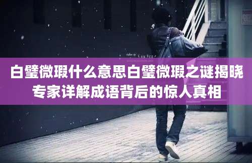 白璧微瑕什么意思白璧微瑕之谜揭晓专家详解成语背后的惊人真相