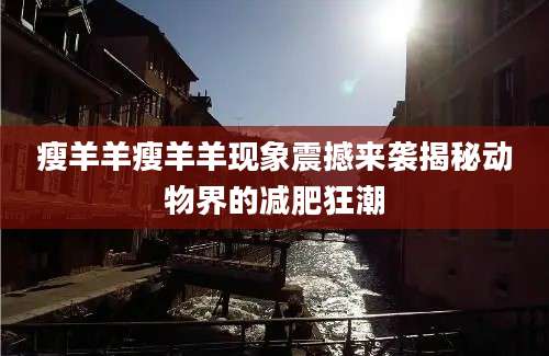 瘦羊羊瘦羊羊现象震撼来袭揭秘动物界的减肥狂潮