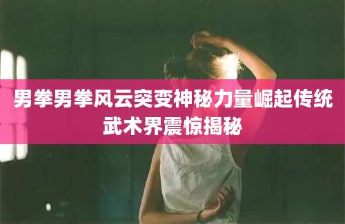 男拳男拳风云突变神秘力量崛起传统武术界震惊揭秘
