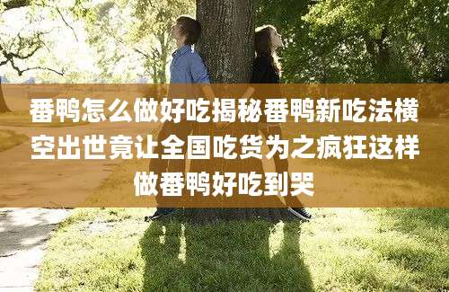 番鸭怎么做好吃揭秘番鸭新吃法横空出世竟让全国吃货为之疯狂这样做番鸭好吃到哭
