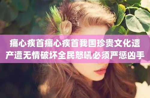 痛心疾首痛心疾首我国珍贵文化遗产遭无情破坏全民怒吼必须严惩凶手