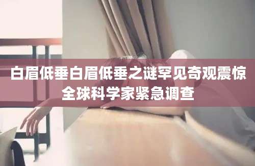 白眉低垂白眉低垂之谜罕见奇观震惊全球科学家紧急调查