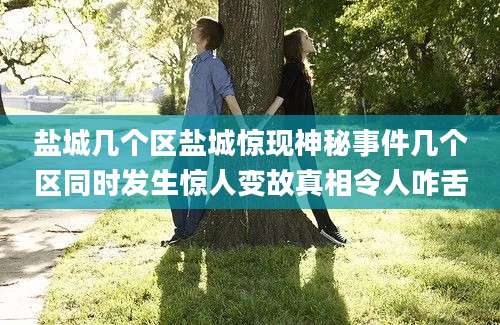 盐城几个区盐城惊现神秘事件几个区同时发生惊人变故真相令人咋舌