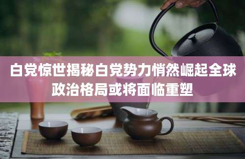 白党惊世揭秘白党势力悄然崛起全球政治格局或将面临重塑