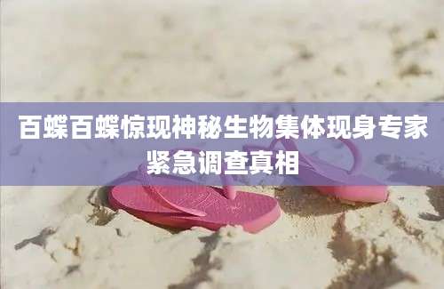 百蝶百蝶惊现神秘生物集体现身专家紧急调查真相