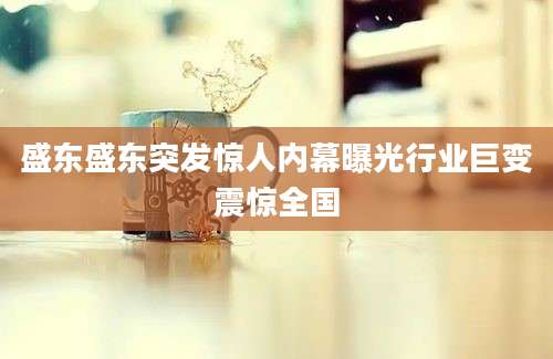 盛东盛东突发惊人内幕曝光行业巨变震惊全国