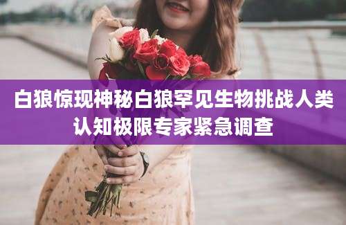 白狼惊现神秘白狼罕见生物挑战人类认知极限专家紧急调查
