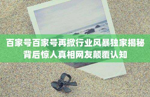 百家号百家号再掀行业风暴独家揭秘背后惊人真相网友颠覆认知