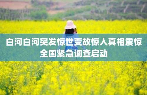 白河白河突发惊世变故惊人真相震惊全国紧急调查启动