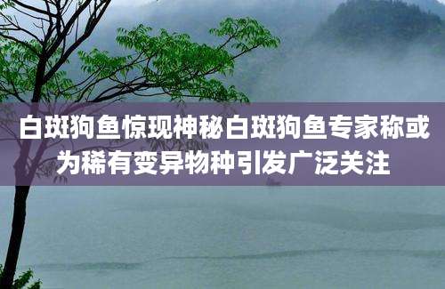 白斑狗鱼惊现神秘白斑狗鱼专家称或为稀有变异物种引发广泛关注
