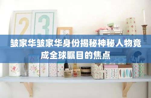 皱家华皱家华身份揭秘神秘人物竟成全球瞩目的焦点