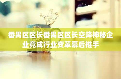 番禺区区长番禺区区长空降神秘企业竟成行业变革幕后推手