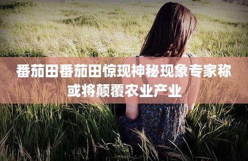 番茄田番茄田惊现神秘现象专家称或将颠覆农业产业
