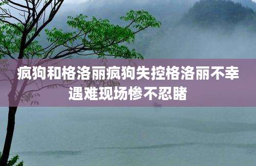 疯狗和格洛丽疯狗失控格洛丽不幸遇难现场惨不忍睹