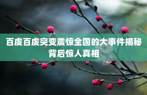 百虔百虔突变震惊全国的大事件揭秘背后惊人真相