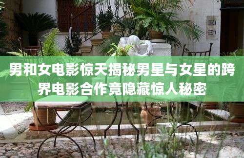 男和女电影惊天揭秘男星与女星的跨界电影合作竟隐藏惊人秘密