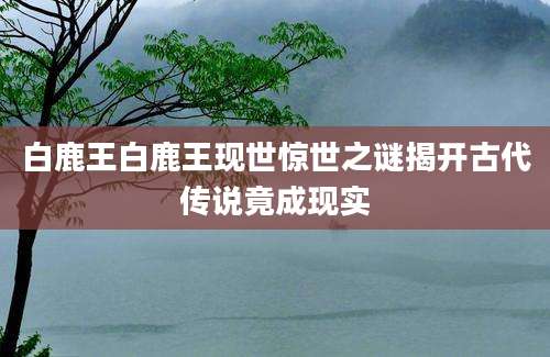 白鹿王白鹿王现世惊世之谜揭开古代传说竟成现实
