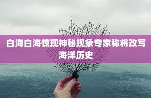 白海白海惊现神秘现象专家称将改写海洋历史