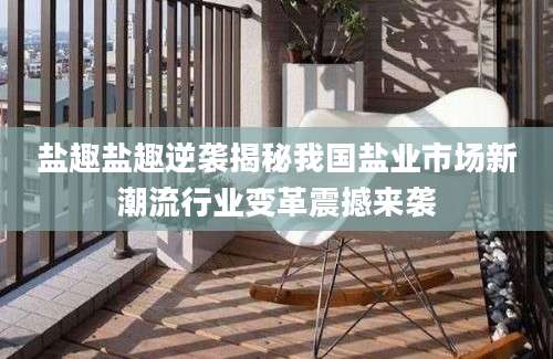 盐趣盐趣逆袭揭秘我国盐业市场新潮流行业变革震撼来袭